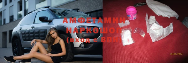 гидра Белокуриха