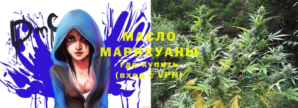 гидра Белокуриха