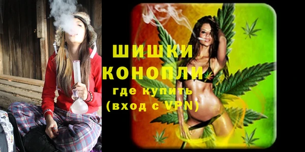 гидра Белокуриха